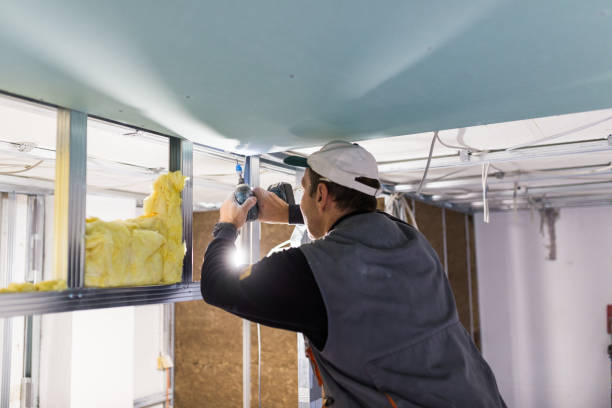 Types of Insulation We Offer in Privateer, SC