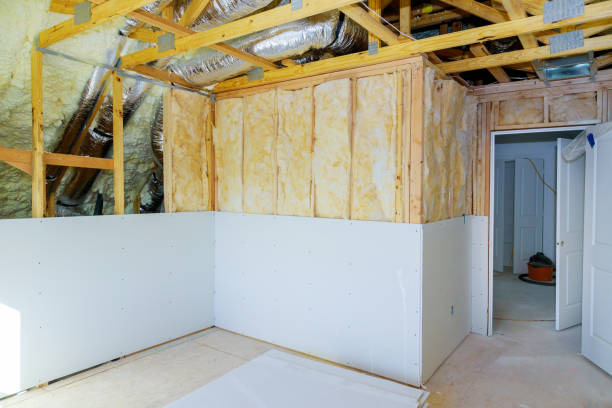 Best Geographic-Specific Insulation Services in Privateer, SC
