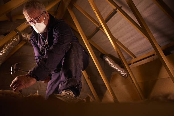 Best Insulation for Specific Applications in Privateer, SC