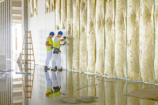 Best Cellulose Insulation in Privateer, SC